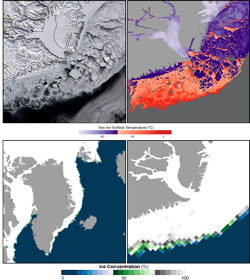 East Greenland shows sea ice